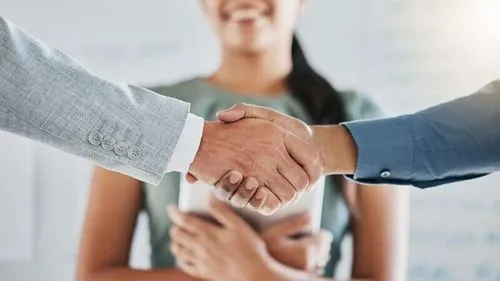 Program and project management oversight