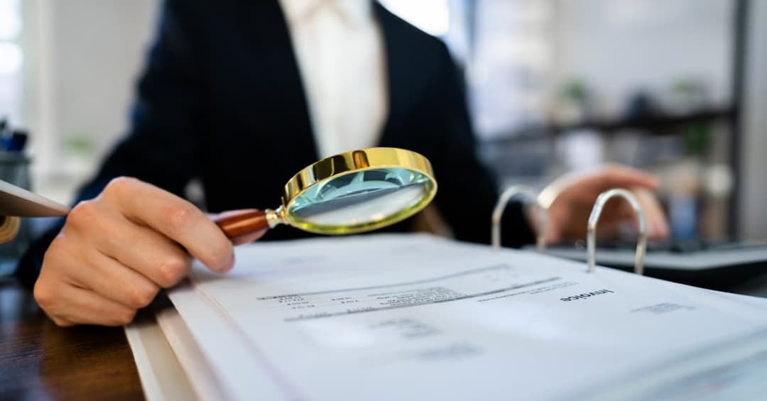 Capdo Audit Understanding PCAOB Audits: Compliance for Public Companies | Dimov Audit